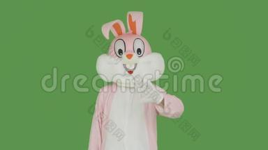 复活节兔子在彩色钥匙上跳舞，绿色屏幕。 复活节兔子手里拿着空白的海报，宽幅表，海报。 冲洗